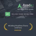 Avada Theme giá rẻ
