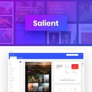 tải Salient - Responsive Multi-Purpose Theme