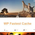 WP Fastest Cache Premium – Update tự động