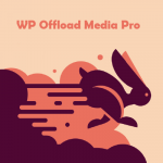 WP Offload Media Pro + Assets Pull Addon
