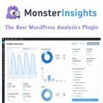 MonsterInsights + Addons