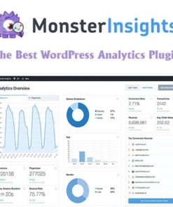 The Best WordPress Analytics Plugin