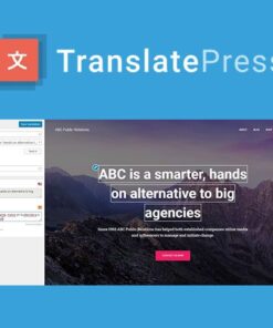 mua TranslatePress Pro Business