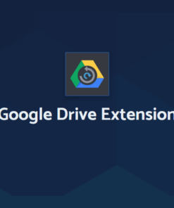 mua All-in-One WP Migration Google Drive Extension