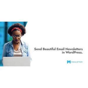 mua Mailster - Email Newsletter Plugin for WordPress