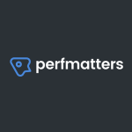 Perfmatters – The #1 Web Performance Plugin for WordPress