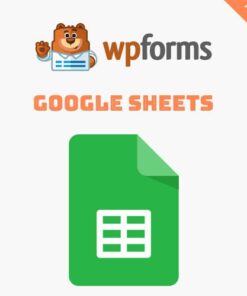 mua WPForms Google Sheets Addon