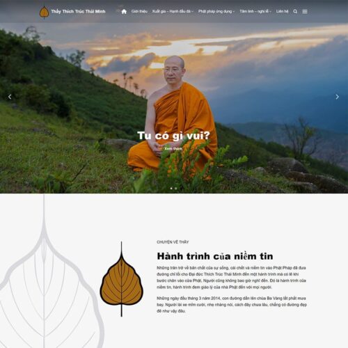 Theme WordPress tin tức 21