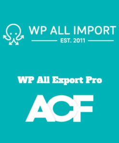 tải WP All Export Pro ACF Addon