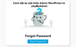 Reset Password Admin WordPress