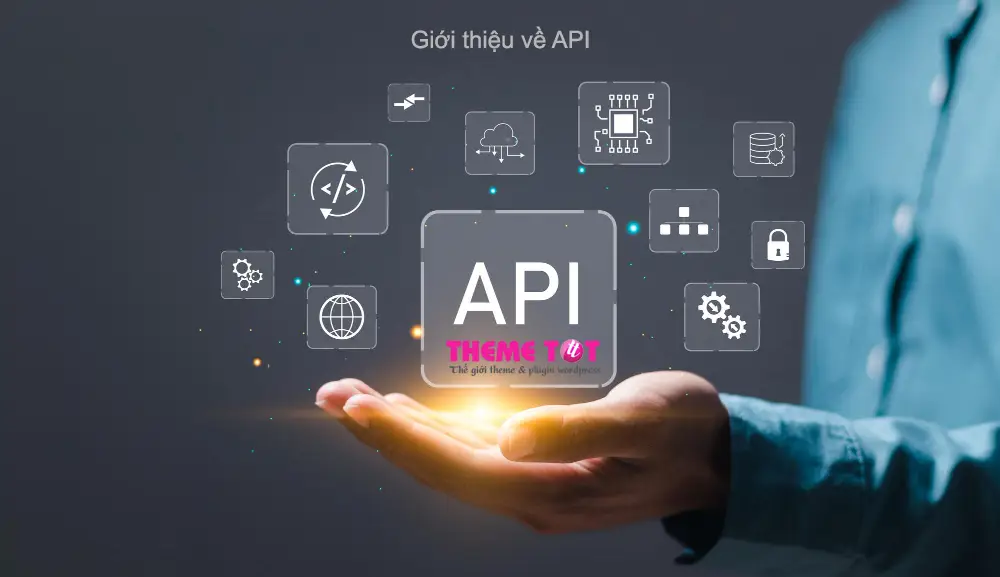Api là gì