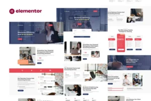Mua Akunta - Business Finance & Accounting Services Elementor Template Kit giá rẻ