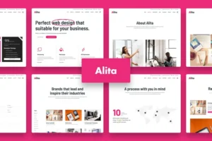 Mua Alita - Web Studio WordPress Theme giá rẻ
