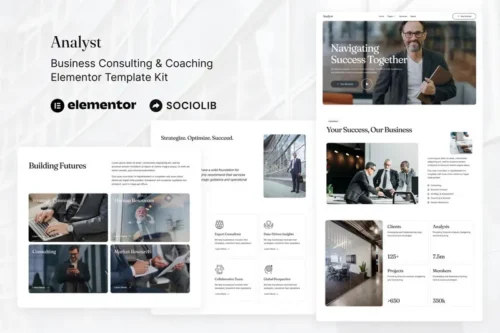 Mua Analyst - Business Consulting & Coaching Elementor Template Kit giá rẻ