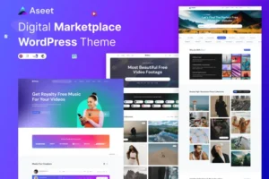 Mua Aseet - Digital Marketplace WordPress Theme giá rẻ