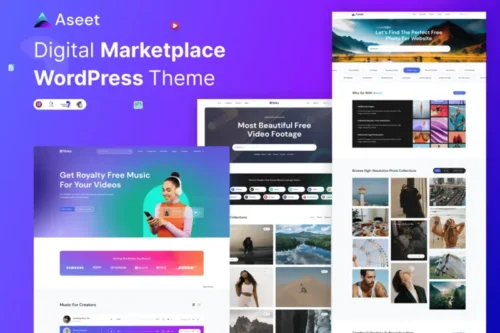 Mua Aseet - Digital Marketplace WordPress Theme giá rẻ