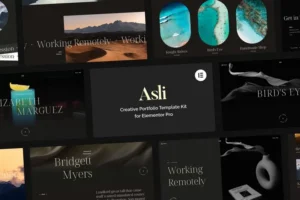 Mua Asli – Creative Portfolio Elementor Pro Template Kit giá rẻ