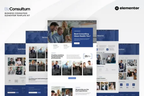 Mua Bizconsultum - Business Consulting Elementor Template Kit giá rẻ