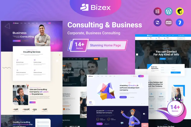 Mua Bizex - Business Consulting WordPress Theme giá rẻ