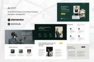 Mua Bizzy - Business & Finance Consulting Company Elementor Template Kit giá rẻ