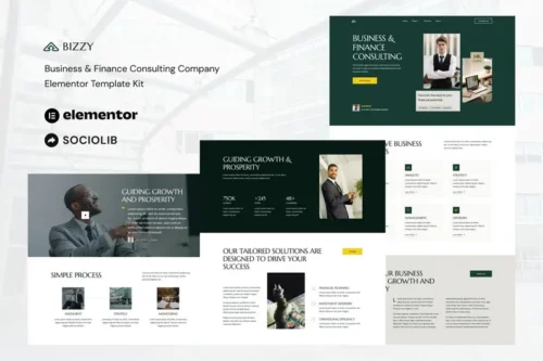 Mua Bizzy - Business & Finance Consulting Company Elementor Template Kit giá rẻ