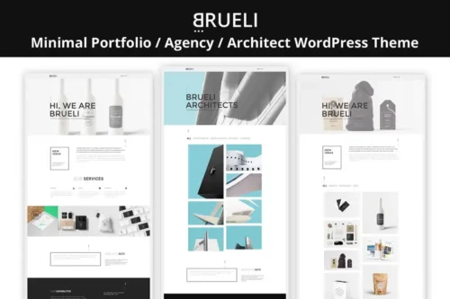 Mua Brueli - Portfolio Agency Architect WordPress giá rẻ