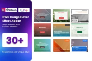 Mua BWD Image Hover Effect addon for elementor giá rẻ