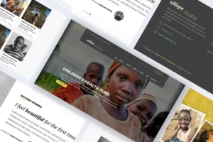 Mua Charity Crowdfunding Non Profit Churches WordPress giá rẻ