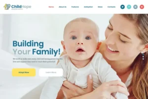 Mua ChildHope | Child Adoption Service & Charity WP giá rẻ