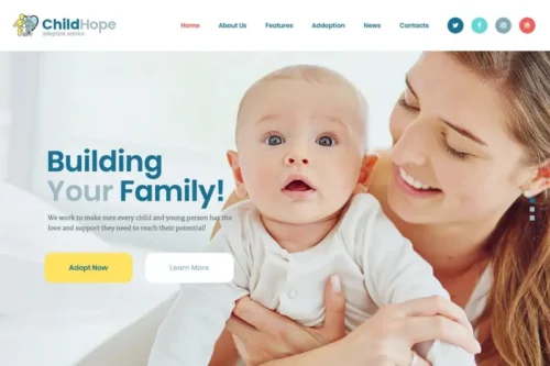 Mua ChildHope | Child Adoption Service & Charity WP giá rẻ