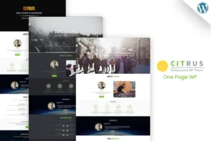 Mua Citrus - One Page WordPress Theme giá rẻ