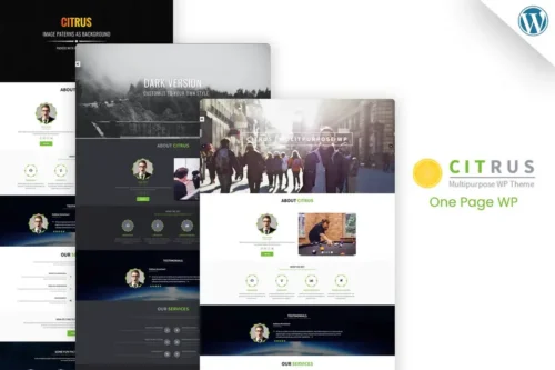 Mua Citrus - One Page WordPress Theme giá rẻ