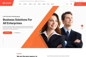 Mua Consalti - Consultancy & Business WordPress Theme giá rẻ
