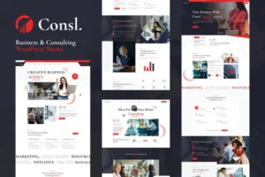 Mua Consl - Consulting Business WordPress Theme giá rẻ