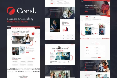 Mua Consl - Consulting Business WordPress Theme giá rẻ