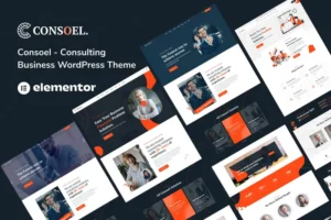 Mua Consoel - Consulting Business WordPress Theme giá rẻ