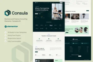 Mua Consula - Business and Finance Consulting Elementor Template Kit giá rẻ