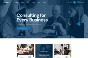 Mua Conult - Consulting Business WordPress Themes giá rẻ