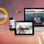 CountDown Pro WP Plugin – WebSites/Products/Offers