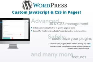 Mua Custom JavaScript & CSS in Pages! giá rẻ