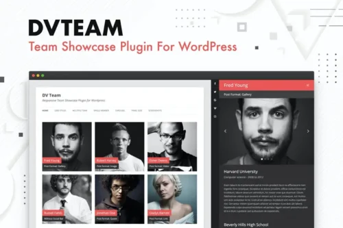Mua DV Team - Team Showcase Plugin For WordPress giá rẻ