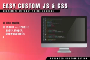 Mua Easy Custom JS and CSS for WordPress giá rẻ