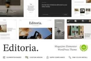Mua Editoria - Newspaper & Magazine WordPress Theme giá rẻ