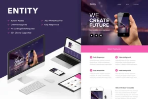 Mua Entity - Responsive Email + Themebuilder Access giá rẻ