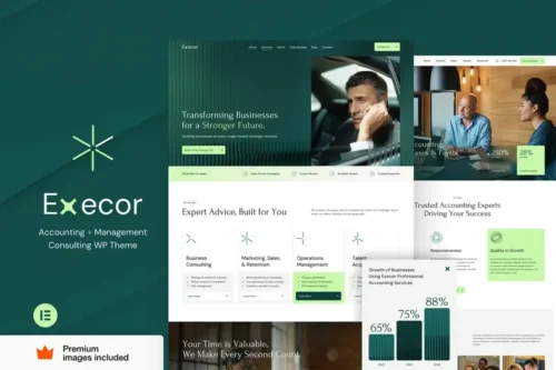 Mua Execor – Accounting and Management Consulting giá rẻ
