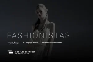 Mua Fashionistas - Responsive Email Template giá rẻ