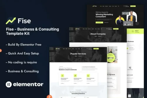 Mua Fise - Business & Consulting Elementor Template Kit giá rẻ