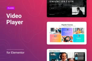 Mua Flexible Video Player for Elementor giá rẻ