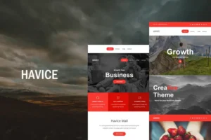 Mua Havice Mail - Responsive E-mail Template giá rẻ