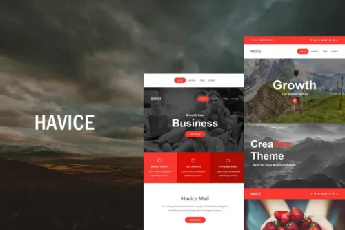 Mua Havice Mail - Responsive E-mail Template giá rẻ
